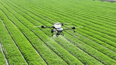 🌱 Startup costarricense revoluciona la agricultura con tecnología