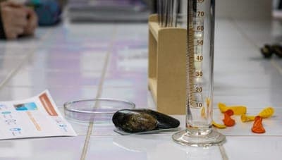 🔬 Lab4U lanza programa para transformar la educación científica en escuelas