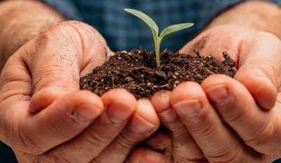 🌱 Emprendimientos colombianos en agrifoodTech reciben US$40 millones