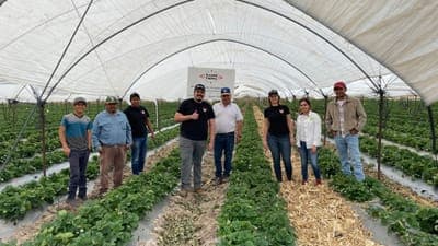 💸 Verqor levantó US$7.5M