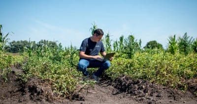🌱 EDRA transforma la agricultura regenerativa en activos climáticos digitales