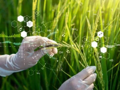 🌱 Colombia: Potencial en el sector Agrifoodtech