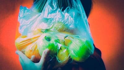 🍽️ Startups Cheaf y Kigüi luchan contra el desperdicio de alimentos en LATAM