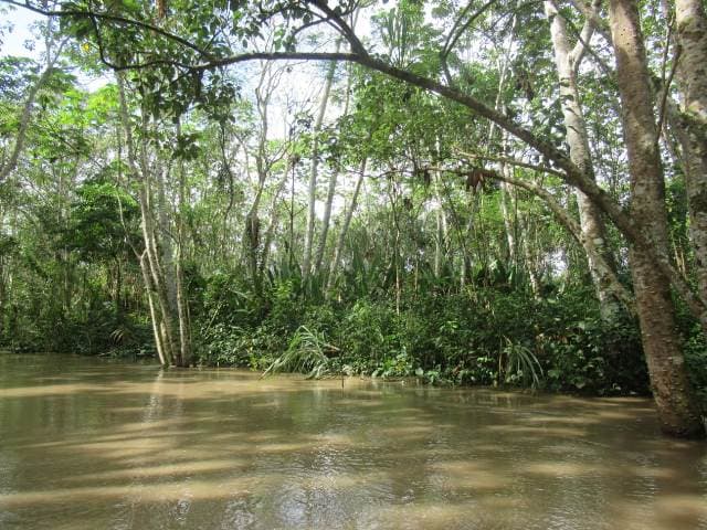 🚀 🚗 Cabify para Empresas renueva contrato con BBVA Perú y compensará ~500 t de CO₂