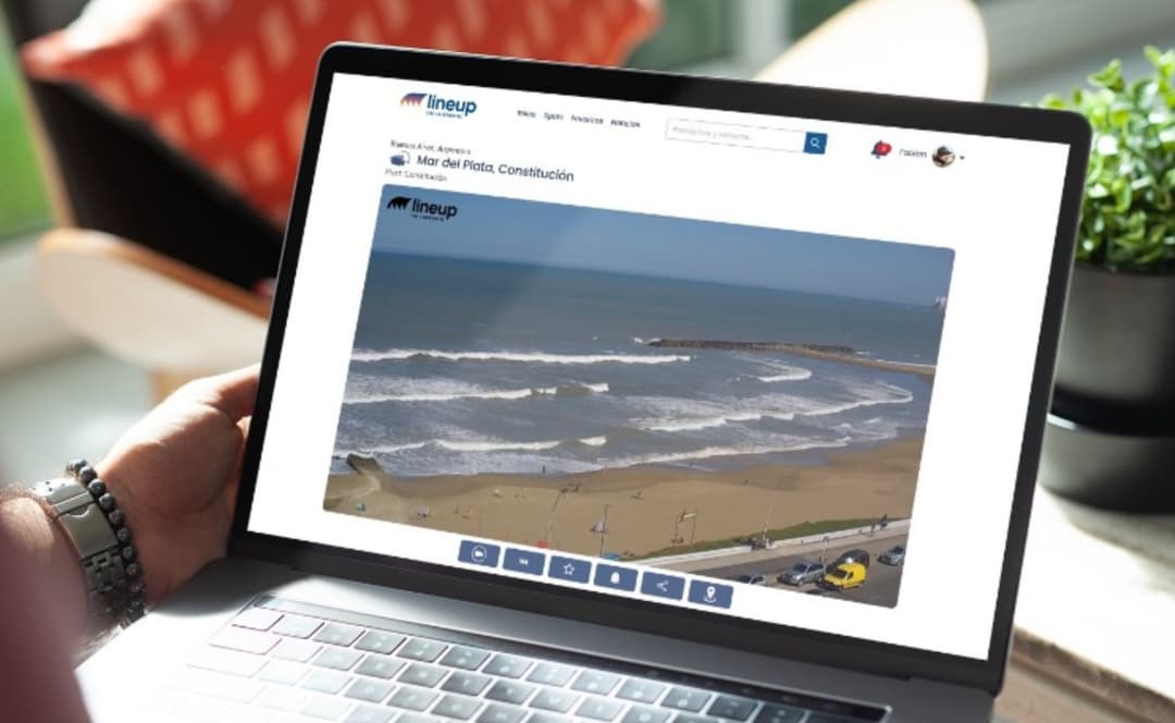 🌎 🏄 Lineup duplicó suscriptores en 2024 y proyecta +60% en 2025