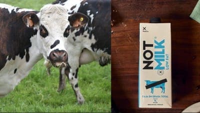 🥗 NotCo no podrá usar su marca NotMilk en Chile